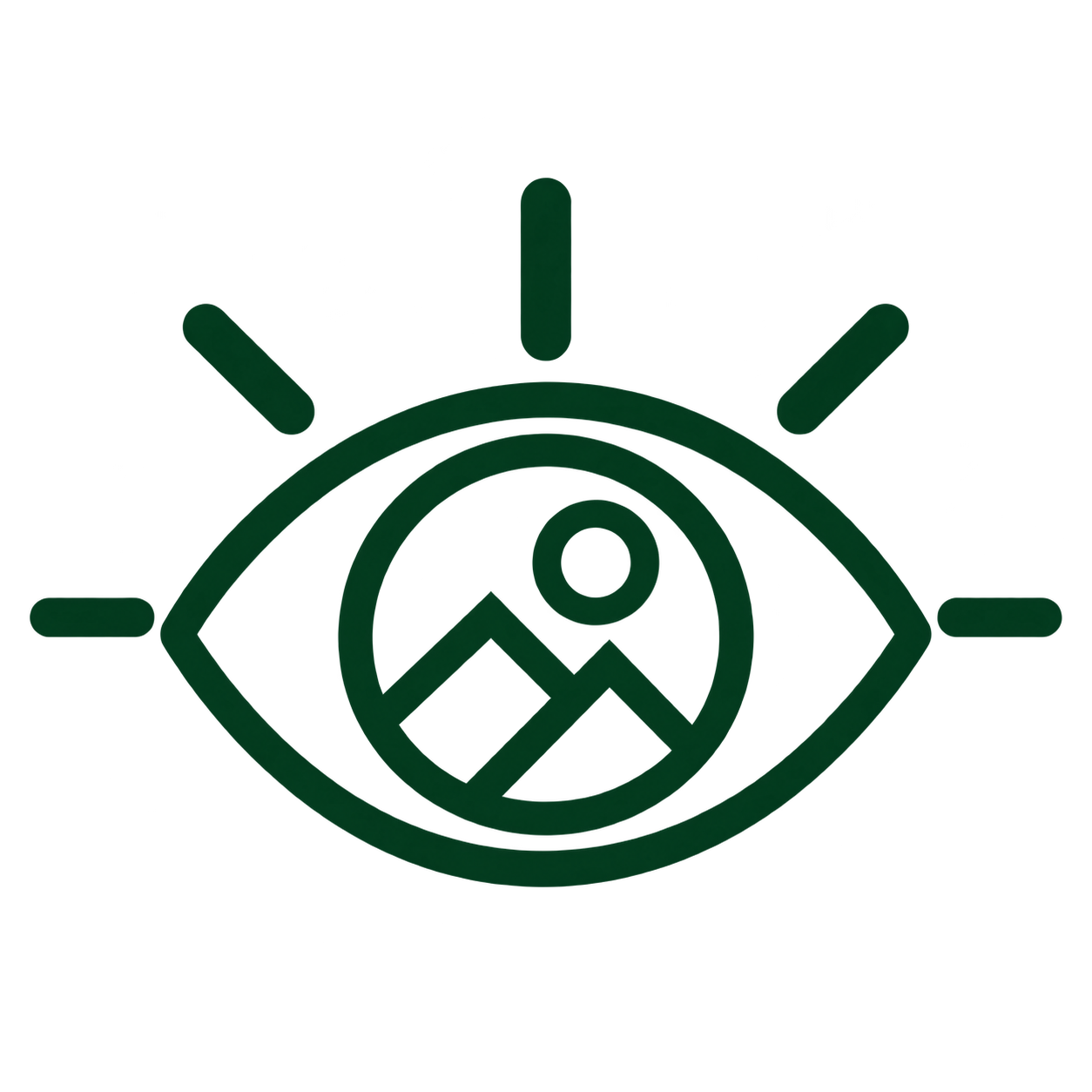 Our Vision